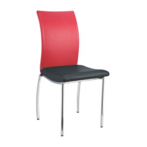 Luxury Accent Dinning Chair