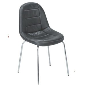 Luxury Accent Dinning Chair