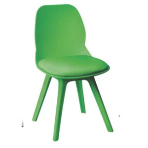 Luxury Accent Dinning Chair