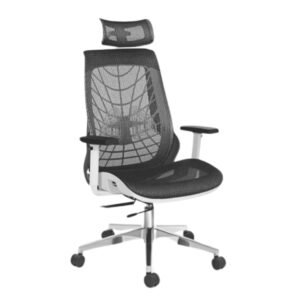 Mesh Office Chair