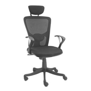 Mesh Office Chair