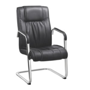Matrix Premium Leatherette Visitor Chair