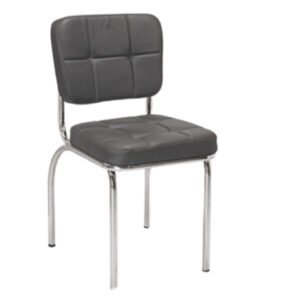 Matrix Premium Leatherette Visitor Chair