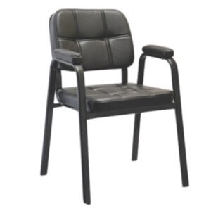 Matrix Premium Leatherette Visitor Chair