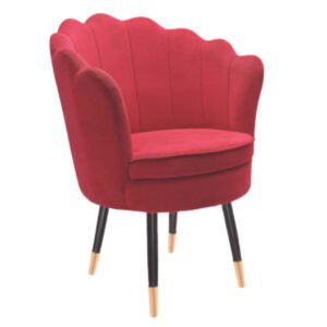 Luxury Accent Dining Chair