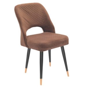 Luxury Accent Dinning Chair