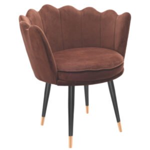 Luxury Accent Dinning Chair