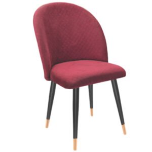 Luxury Accent Dinning Chair