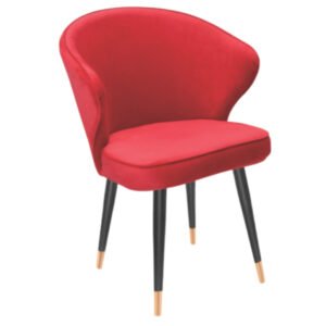 Luxury Accent Dinning Chair