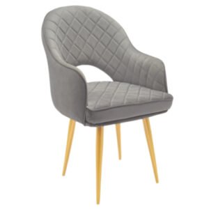 Luxury Accent Dinning Chair