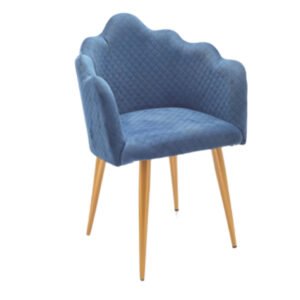 Luxury Accent Dinning Chair