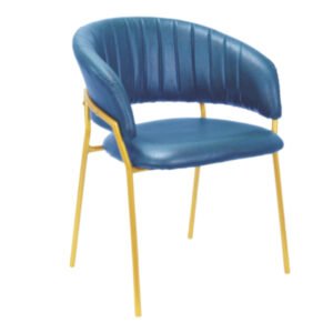 Luxury Accent Dinning Chair
