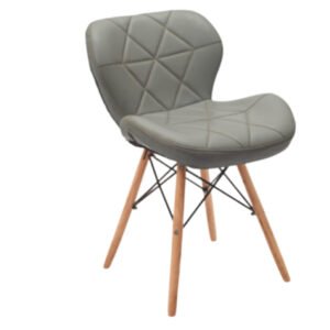 Luxury Accent Dinning Chair