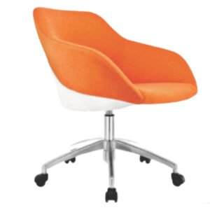 Luxury Accent Dinning Chair