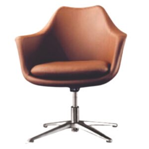 Luxury Accent Dinning Chair