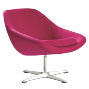 Luxury Accent Dinning Chair