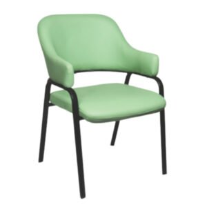 Luxury Accent Dinning Chair