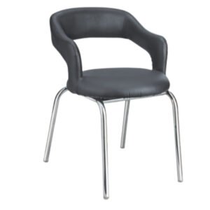 Luxury Accent Dinning Chair