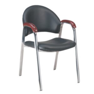Matrix Premium Leatherette Visitor Chair