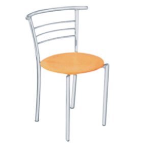 Luxury Accent Dinning Chair