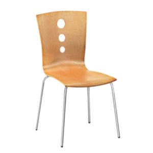 Luxury Accent Dinning Chair