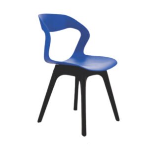 Luxury Accent Dinning Chair