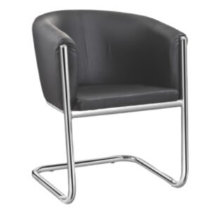 Matrix Premium Leatherette Visitor Chair