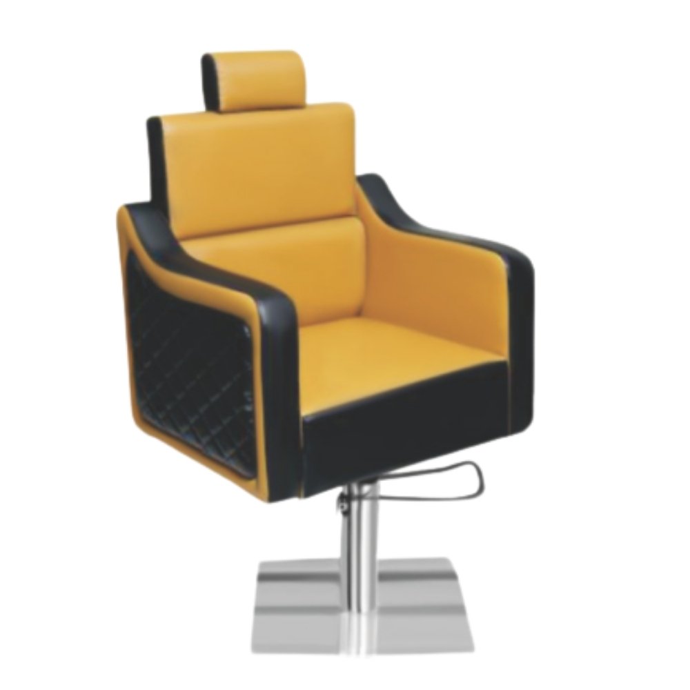Salon Chair