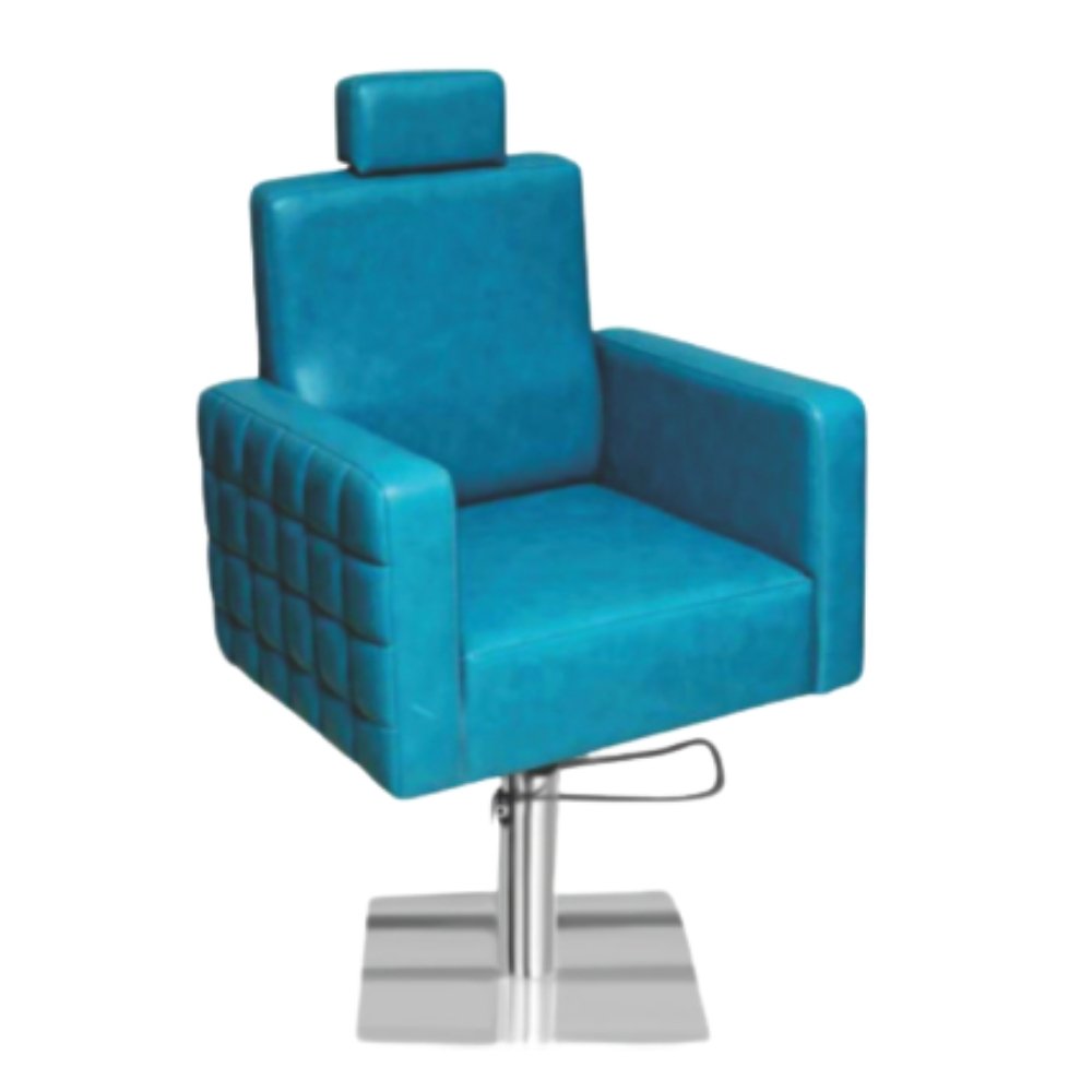 Salon Chair