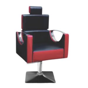 Salon Chair