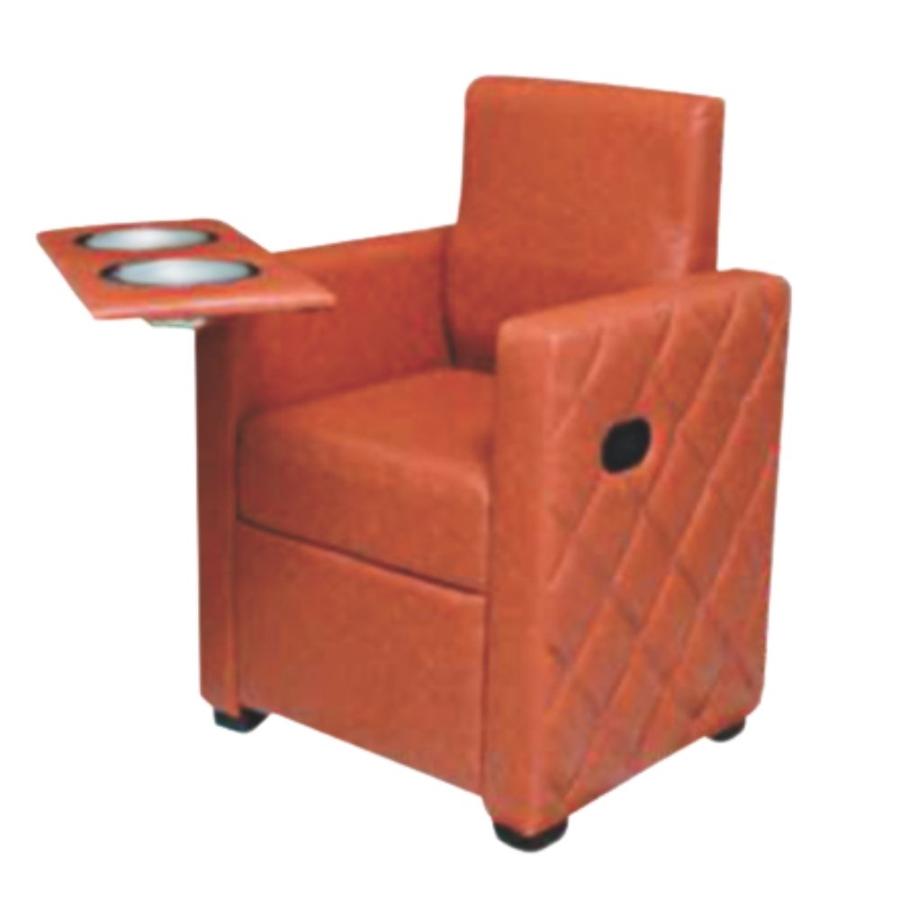 Salon Chair