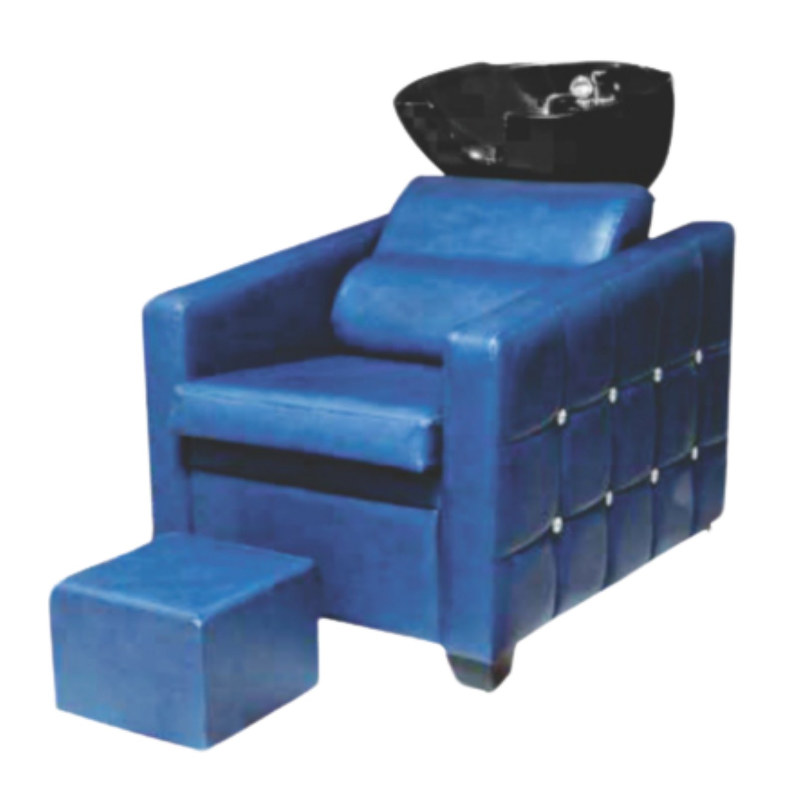 Salon Chair