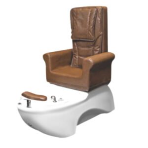 Salon Chair