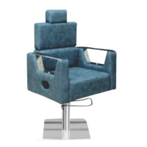 Salon Chair