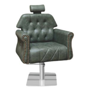 Salon Chair