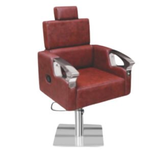Salon Chair