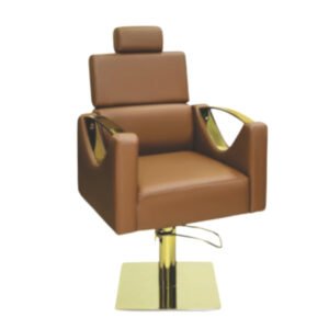 Salon Chair
