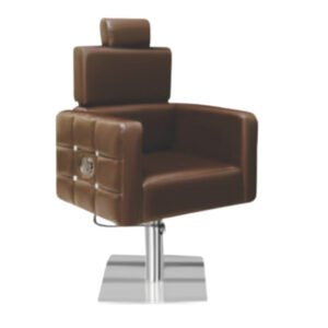 Salon Chair