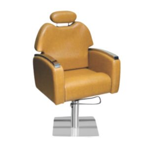Salon Chair