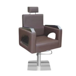 Salon Chair